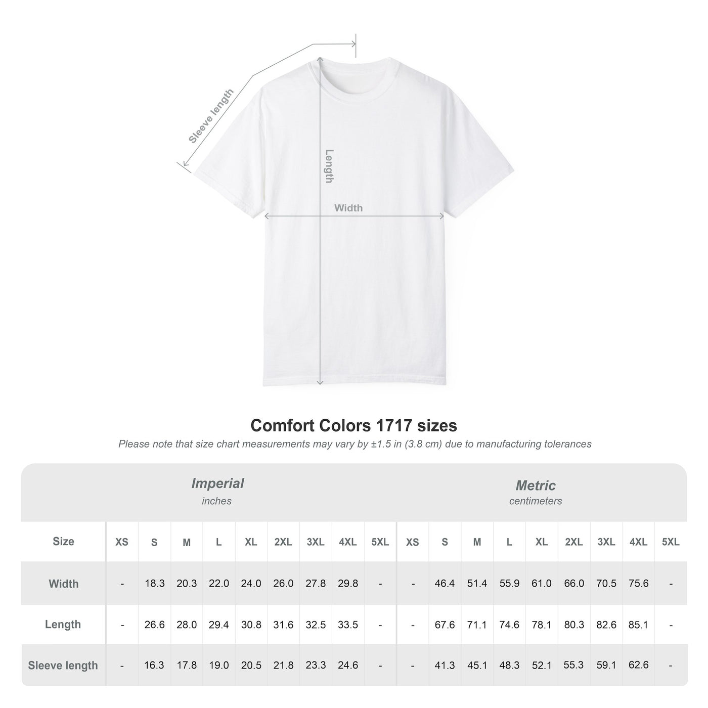 Fahrenheit 451 literary T-shirt with burning pages and “The Ashes Were Once Words” design on a garment-dyed unisex T-shirt, product view