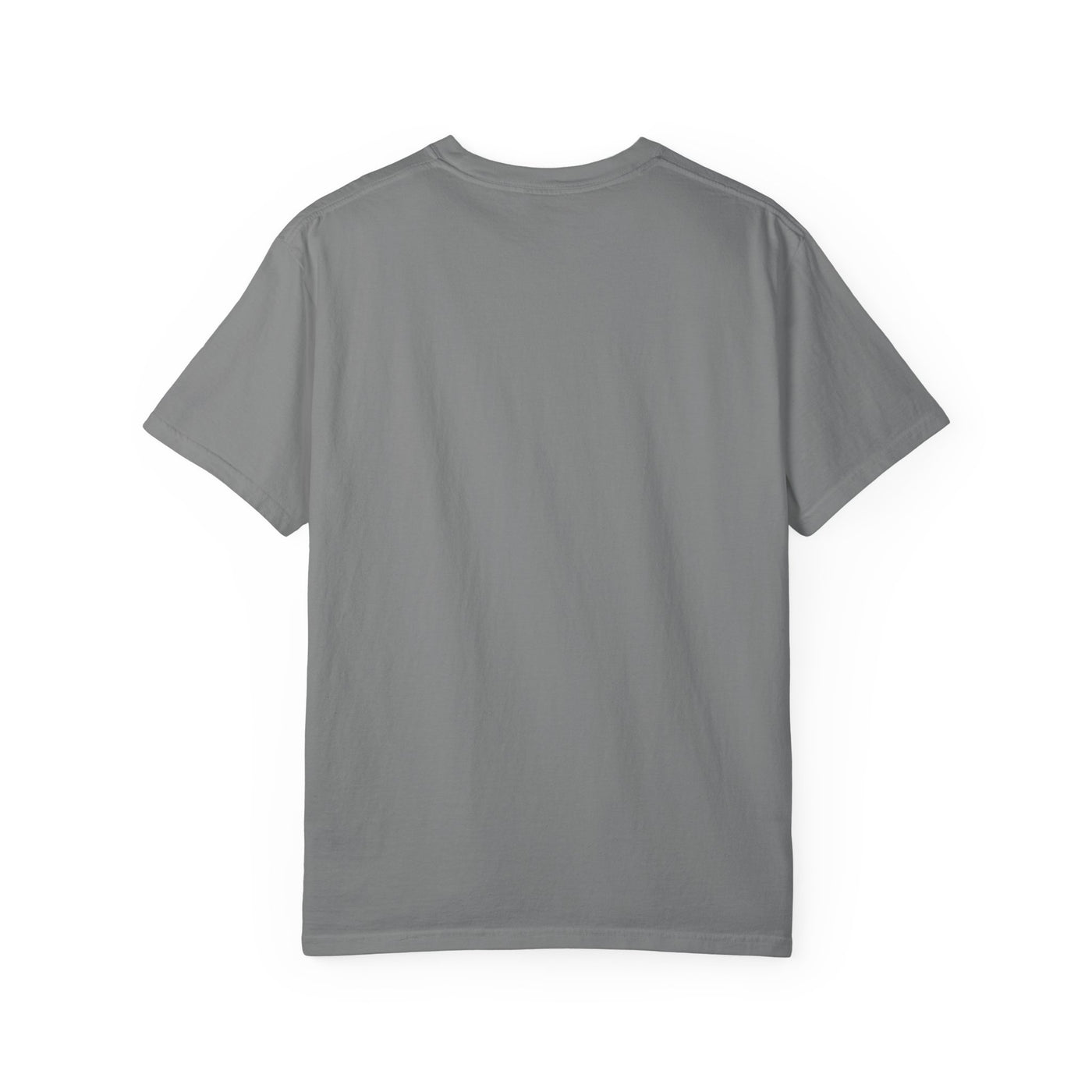 Fahrenheit 451 literary T-shirt with burning pages and “The Ashes Were Once Words” design on a garment-dyed unisex T-shirt, product view